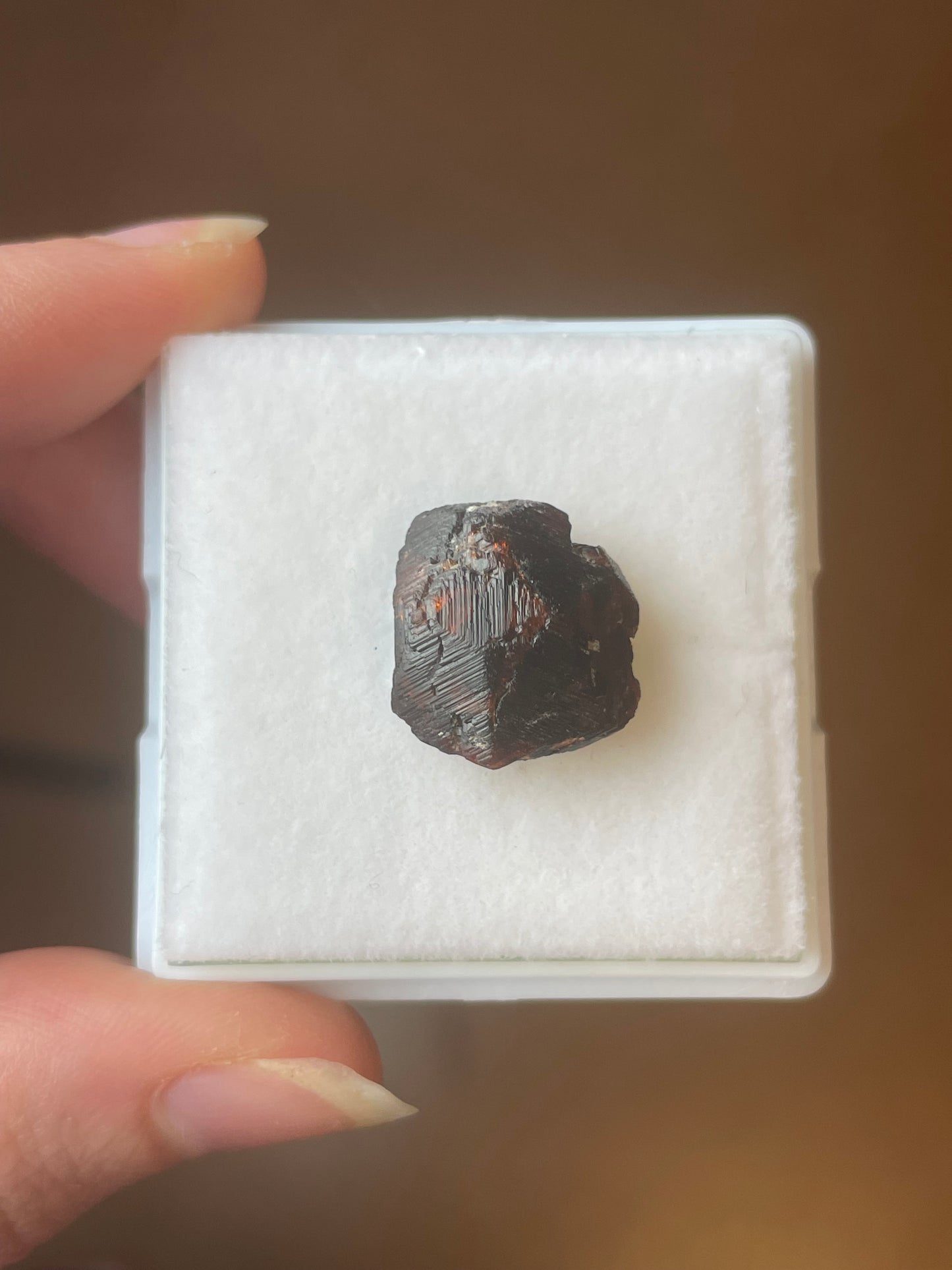 etched Granat mit Zonierung aus Brasilien mineral specimen