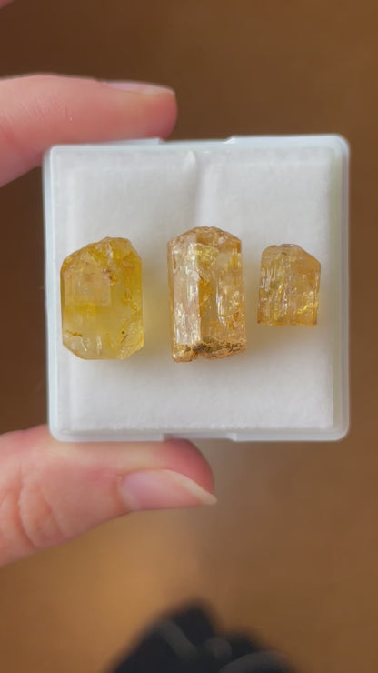 Imperial Topas set minerale aus Zambia